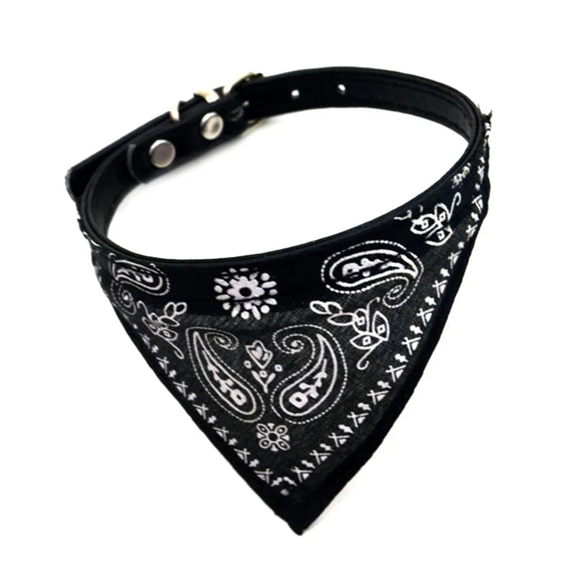 Collier Bandana pour Chat