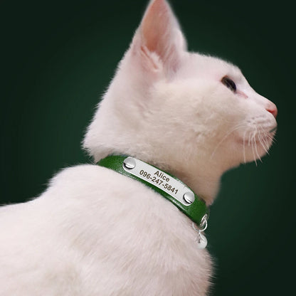 Collier pour Chat Personnalisé en Cuir