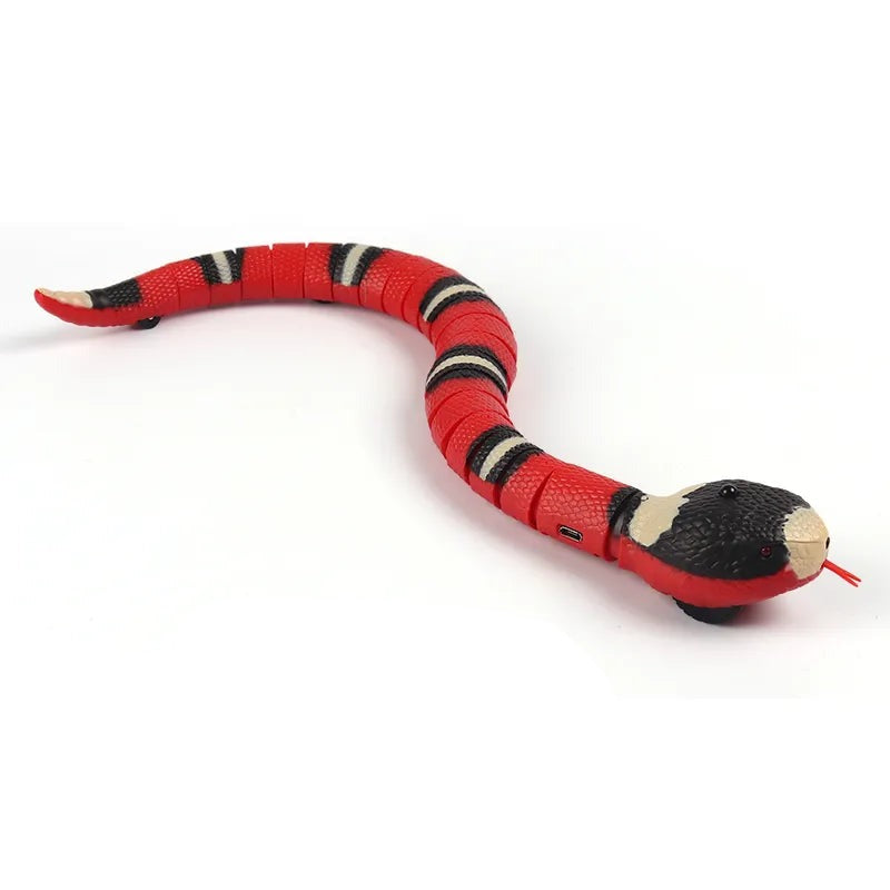 jouet chat serpent automatique