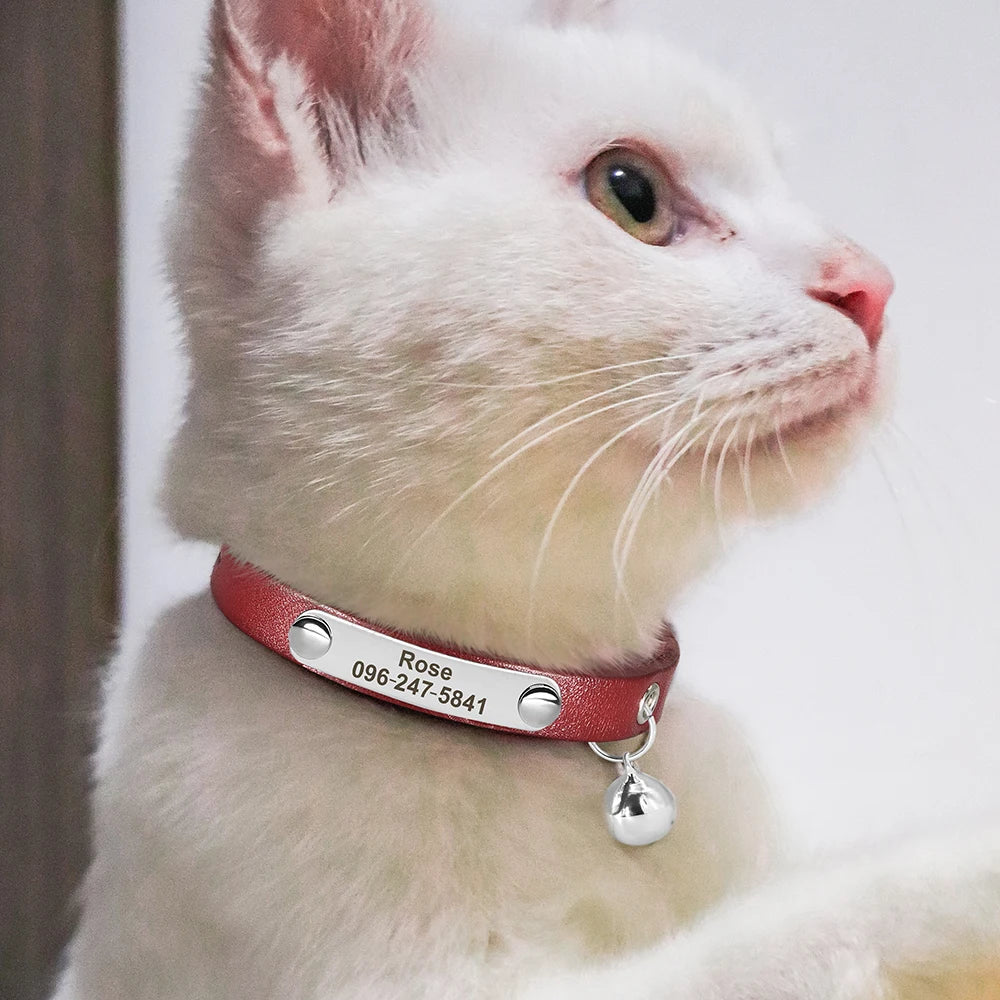 Collier pour Chat Personnalisé en Cuir