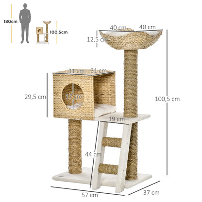 Arbre à chat dimensions