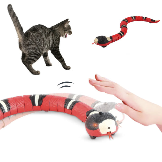 chat avec jouet serpent interactif