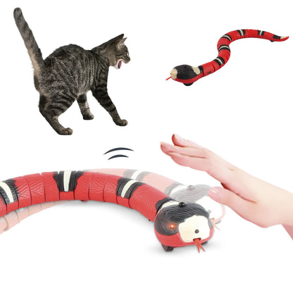 chat avec jouet serpent interactif