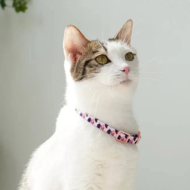 Collier Anti Etranglement pour Chat avec Clochette