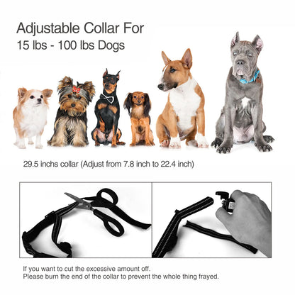 BIVI - Collier de Dressage Etanche pour Chien