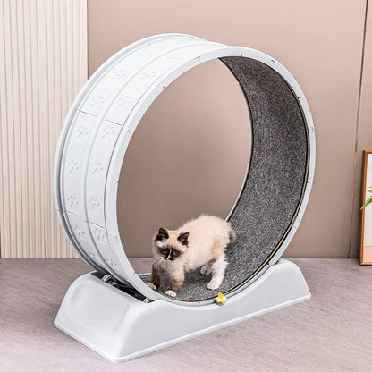 ROLER - Roue d'Exercice pour Chat