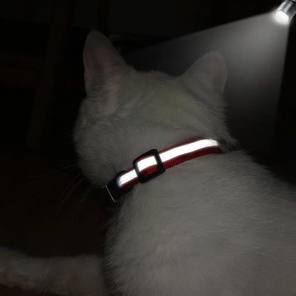 Collier pour Chat Personnalisé Réfléchissant