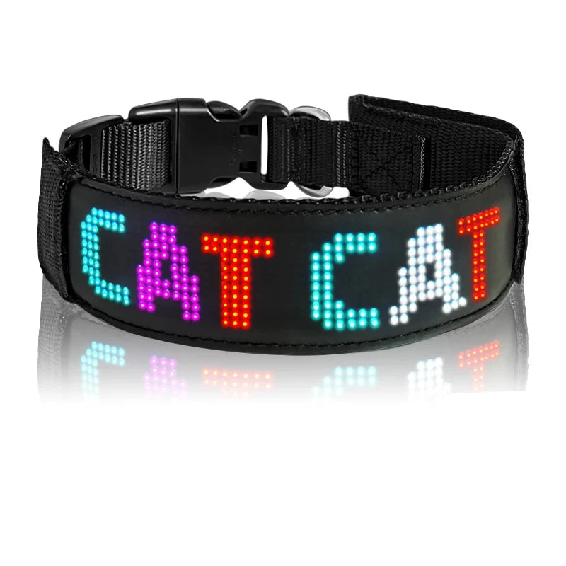 collier lumineux pour chat