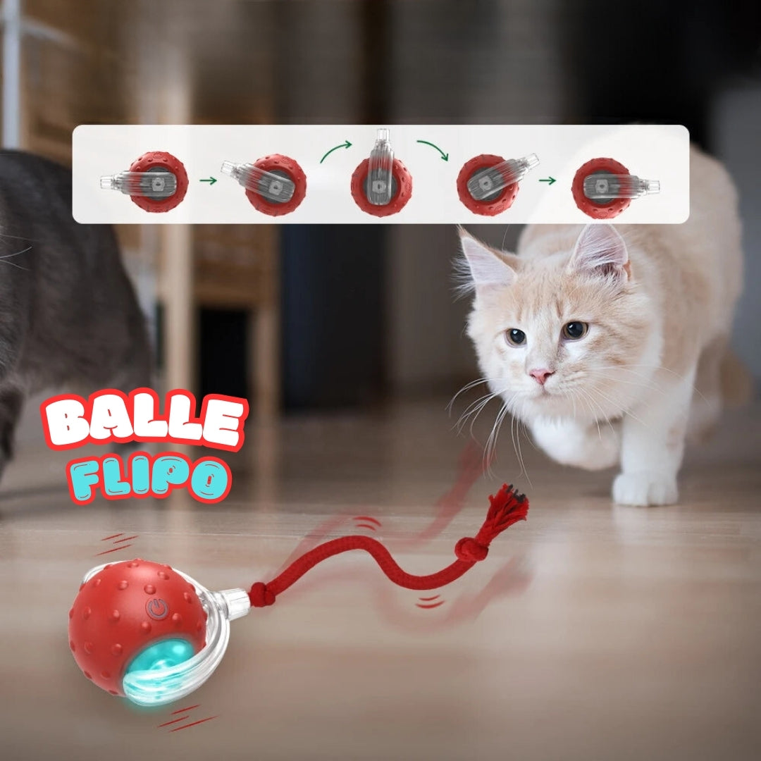 FLIPO - Balle interactive pour chat