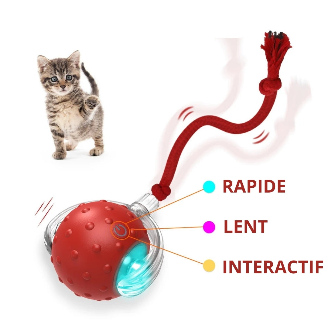 FLIPO - Balle interactive pour chat