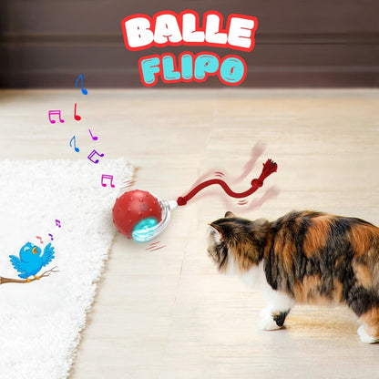 FLIPO - Balle interactive pour chat