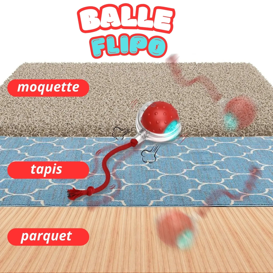 FLIPO - Balle interactive pour chat