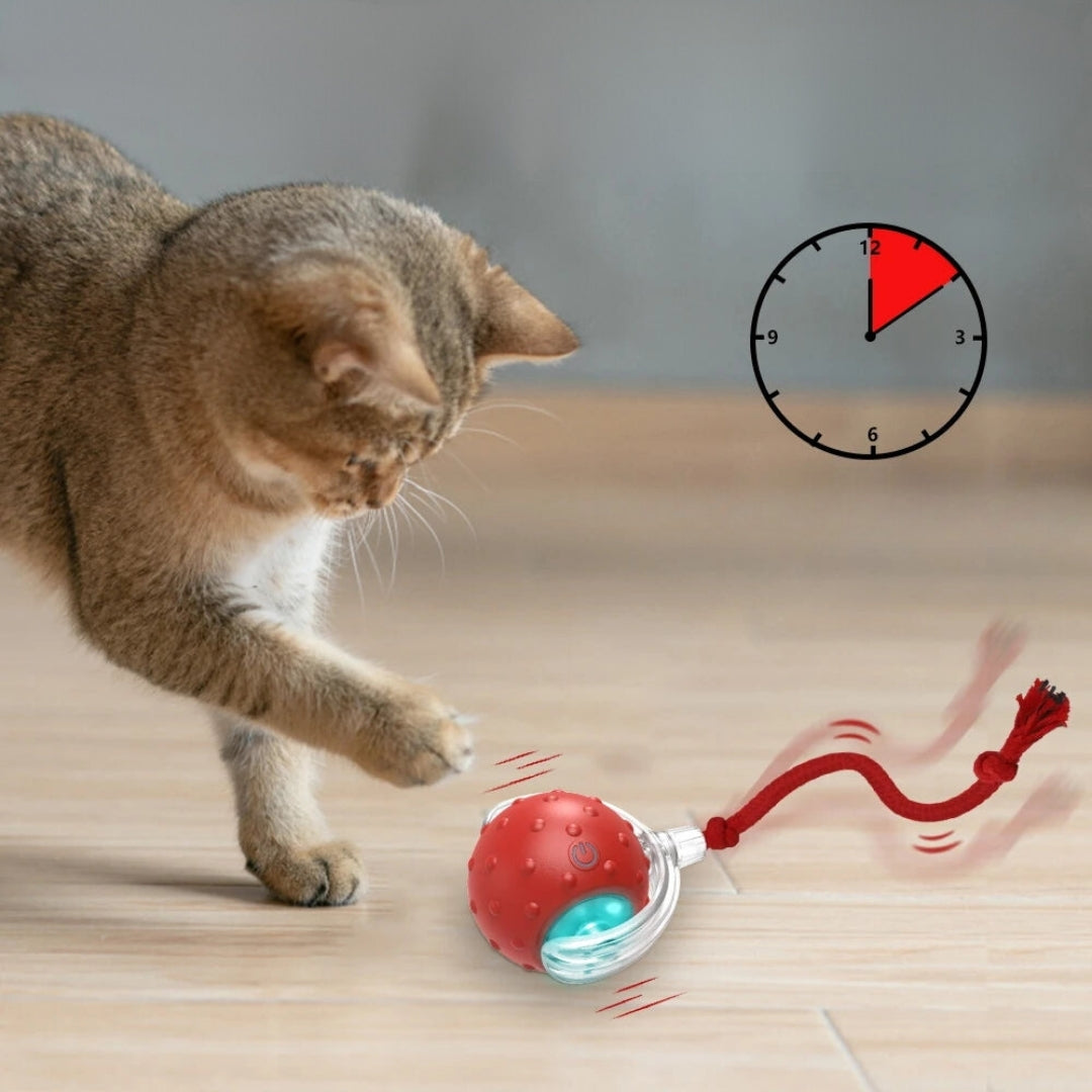 FLIPO - Balle interactive pour chat