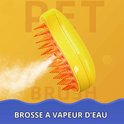 brosse vapeur eau pour chat