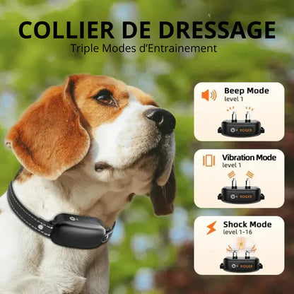 ROGER - Collier de Dressage Electrique pour Chien