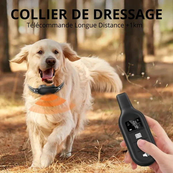 ROGER - Collier de Dressage Electrique pour Chien