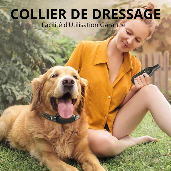 ROGER - Collier de Dressage Electrique pour Chien