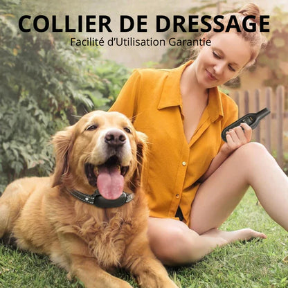 ROGER - Collier de Dressage Electrique pour Chien