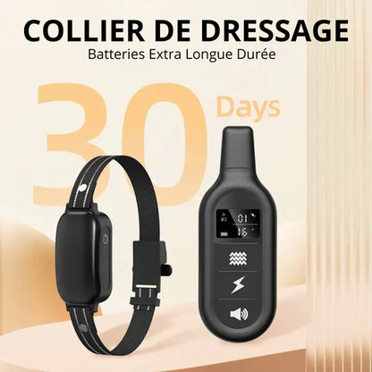 ROGER - Collier de Dressage Electrique pour Chien