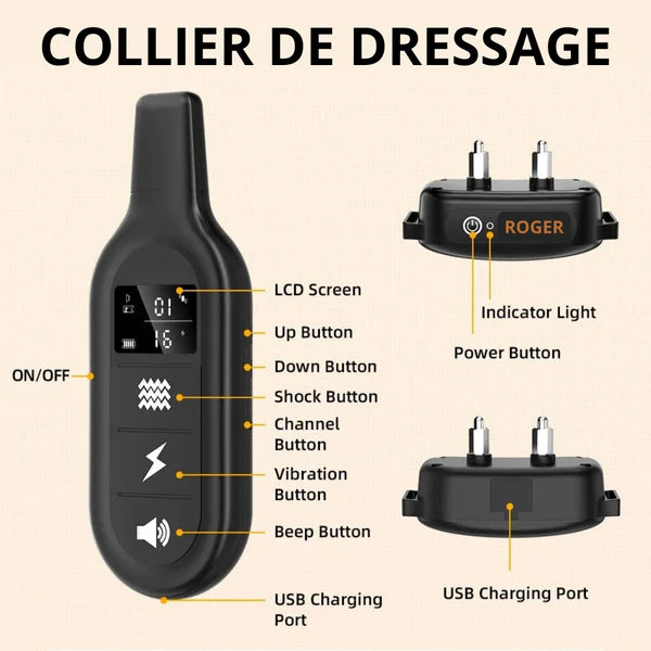 ROGER - Collier de Dressage Electrique pour Chien
