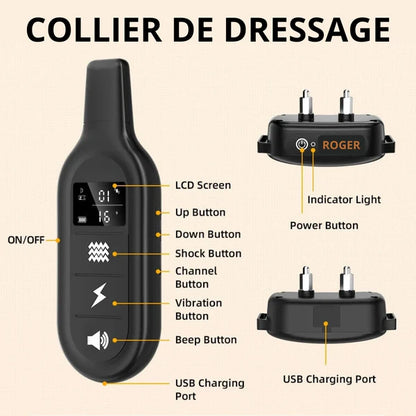 ROGER - Collier de Dressage Electrique pour Chien