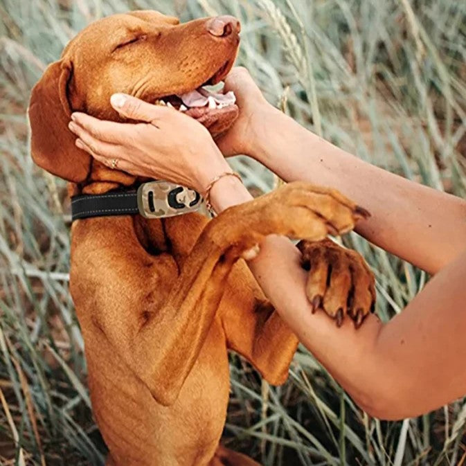 KAMO - Collier de Dressage Militaire pour Chien