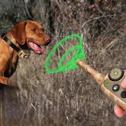 KAMO - Collier de Dressage Militaire pour Chien