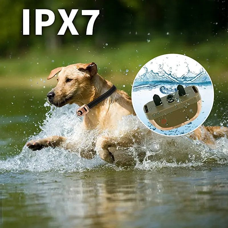 KAMO - Collier de Dressage Militaire pour Chien