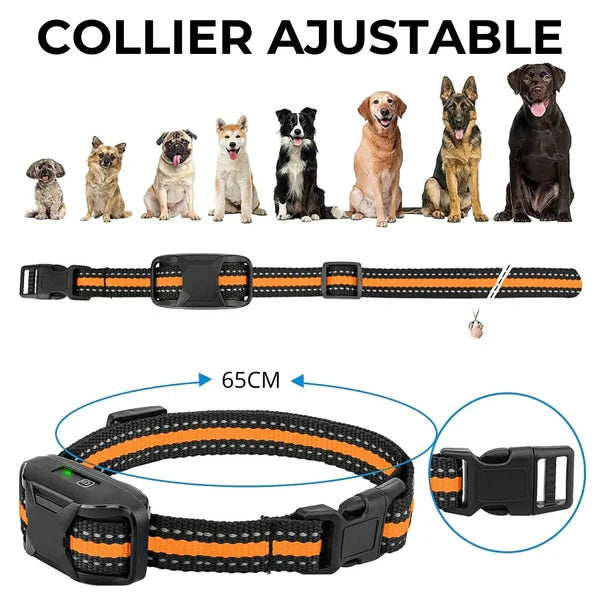 ROSTO - Collier de Dressage pour Chien avec Télécommande