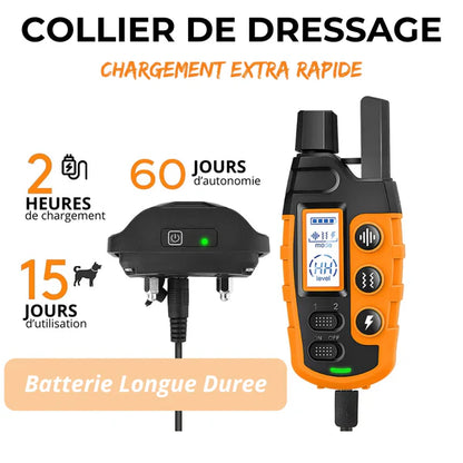ROSTO - Collier de Dressage pour Chien avec Télécommande