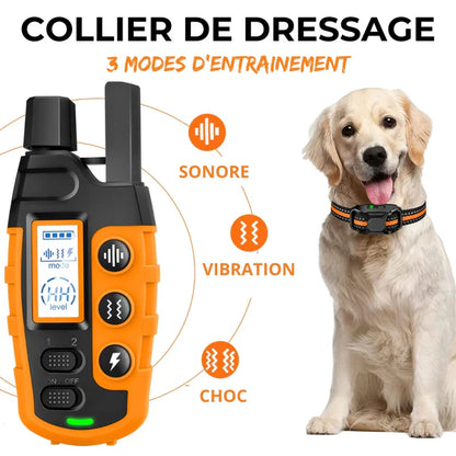 ROSTO - Collier de Dressage pour Chien avec Télécommande