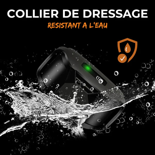 ROSTO - Collier de Dressage pour Chien avec Télécommande