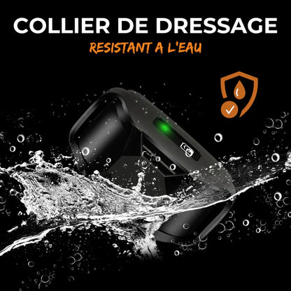 ROSTO - Collier de Dressage pour Chien avec Télécommande