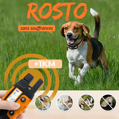 ROSTO - Collier de Dressage pour Chien avec Télécommande