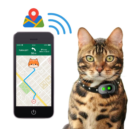 Collier GPS Chat Bengal