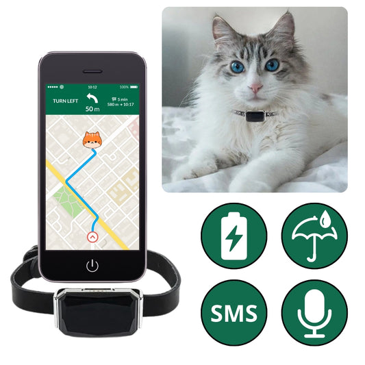 PURRO - Collier GPS Chat Sacré de Birmanie