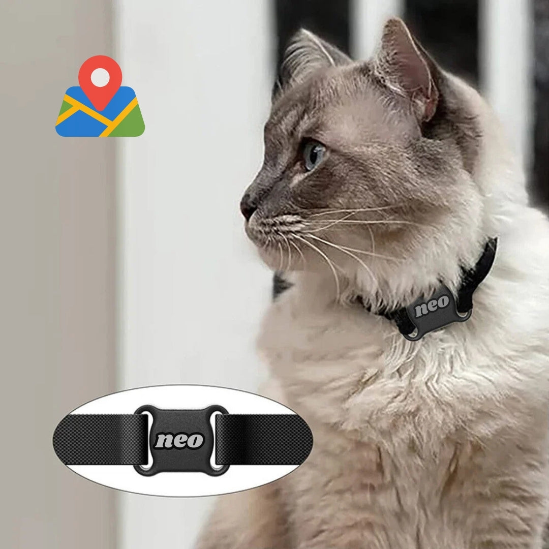 NEO - Collier GPS Chat Chartreux