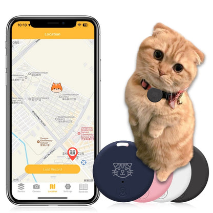 PAWSITION - Collier GPS Chat Munchkin