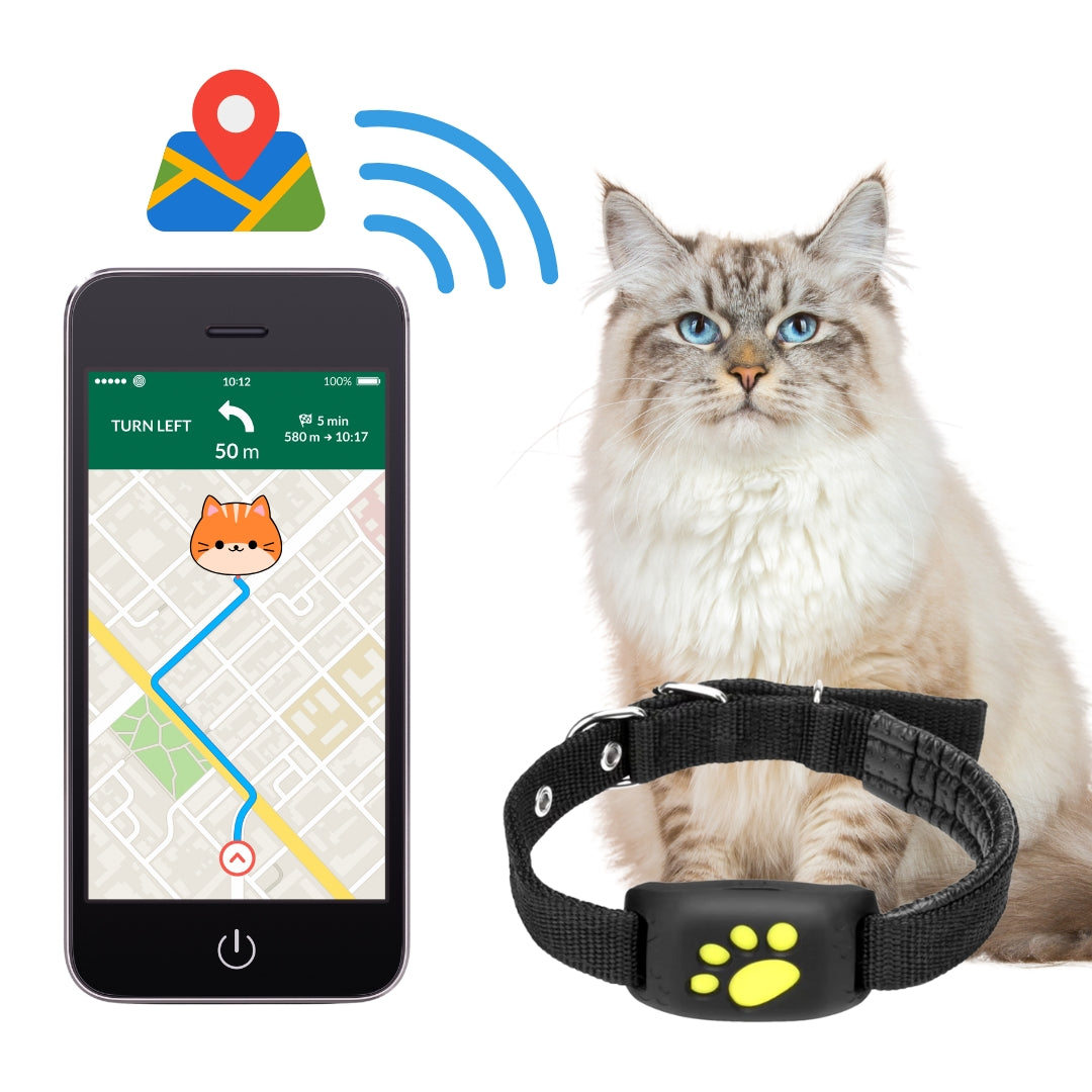 collier gps chat siberien