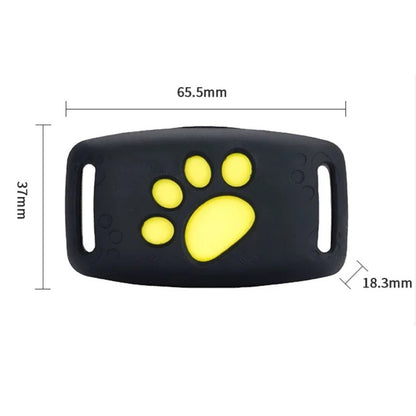 NAVICAT - Collier GPS Chat Sibérien