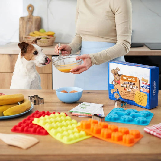 chien regarde maitresse préparer friandises maison 