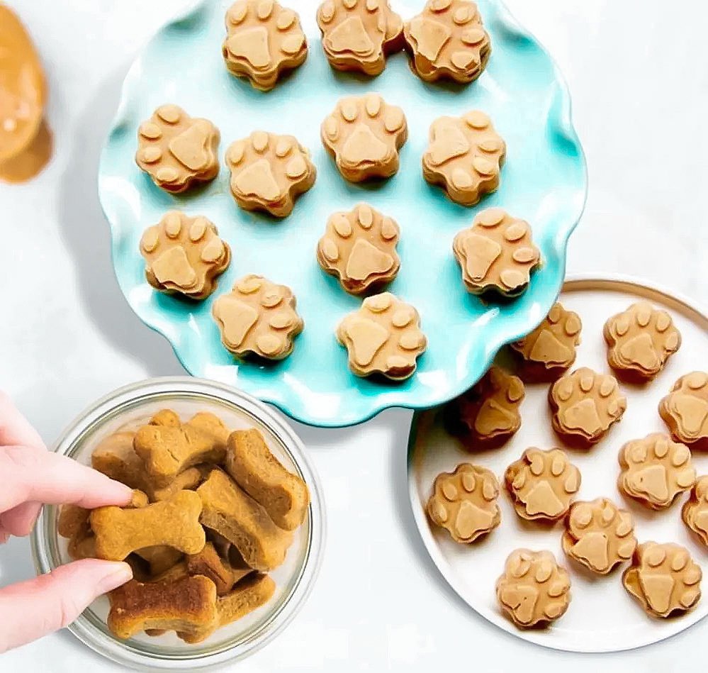 friandises pour chien dans assiettes