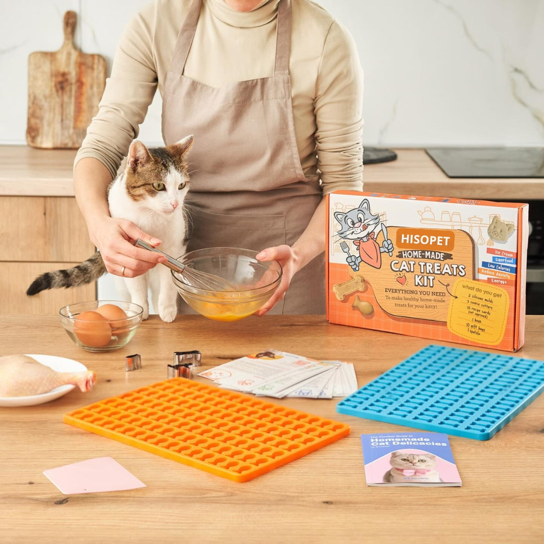 chat regarde maitresse preparer friandises maison