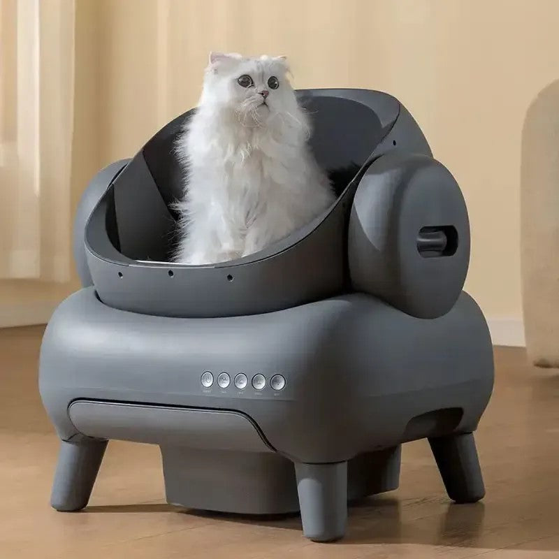 Litière Autonome pour Chat Maine Coon