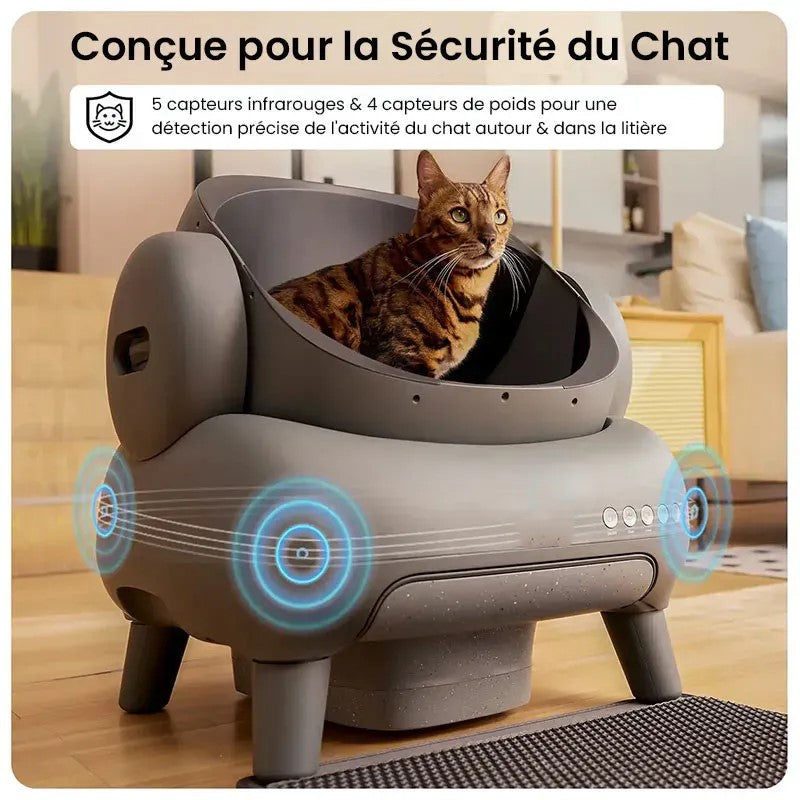 Litière intelligente pour Chat Maine Coon