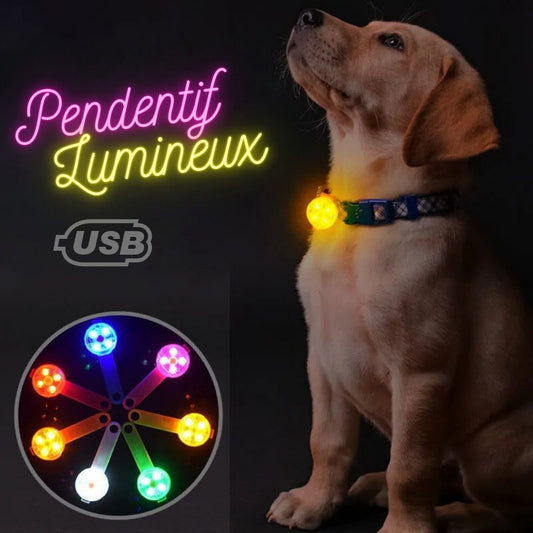 Pendentif Lumineux pour Chien