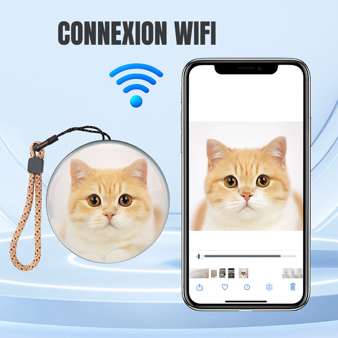 Boule Souvenirs Vidéo 3D