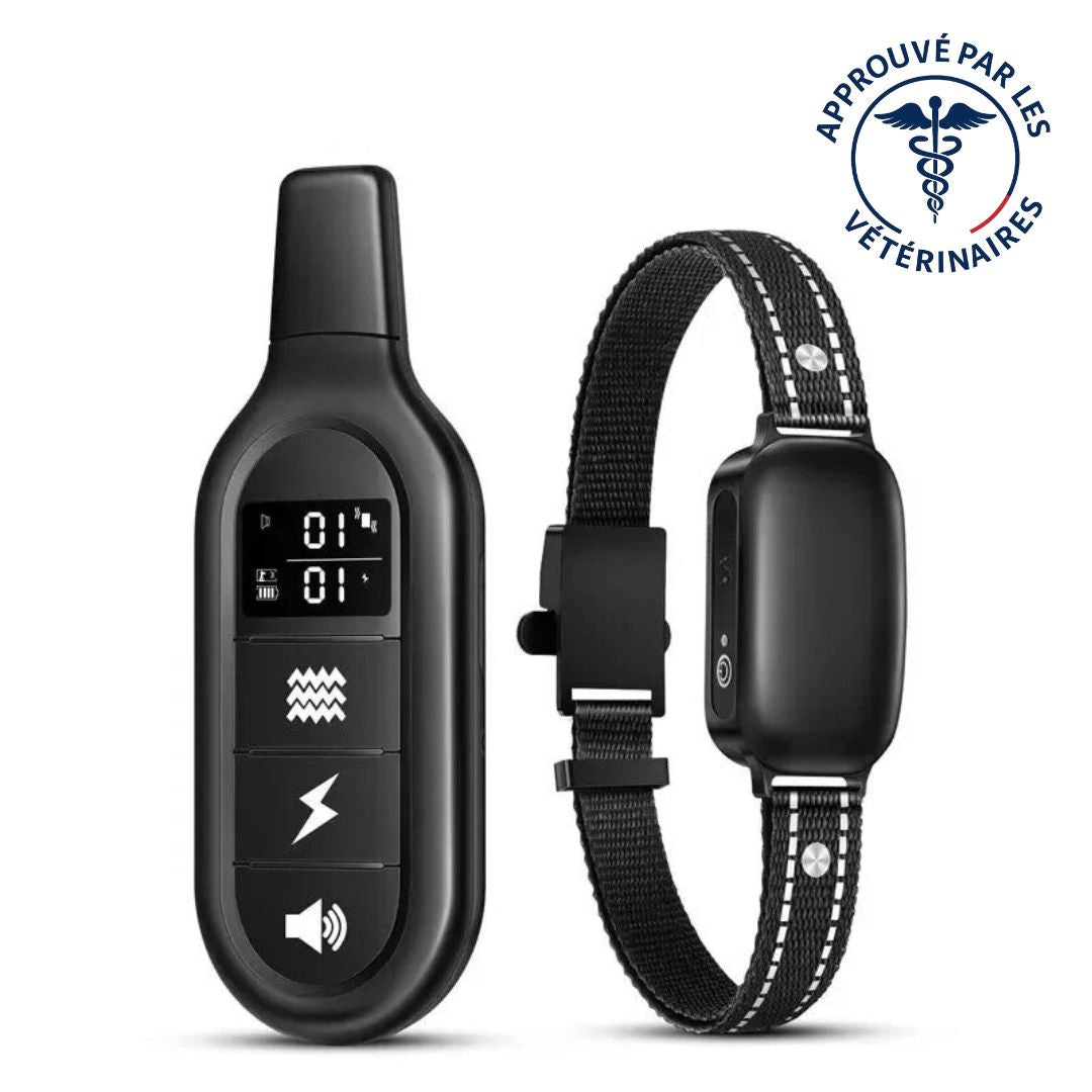 ROGER - Collier de Dressage Electrique pour Chien