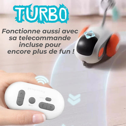 TURBO - Voiture interactive pour Chat