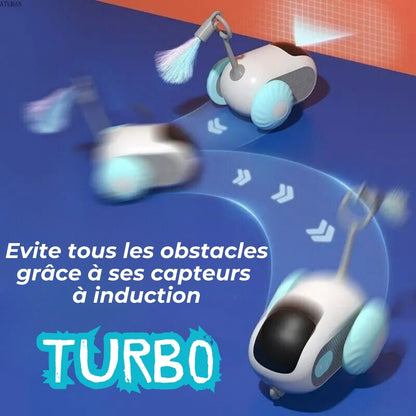 TURBO - Voiture interactive pour Chat